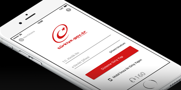 E-devlet'te soyağacı sorgulayanlar dikkat! Bu hatayı yapmayın