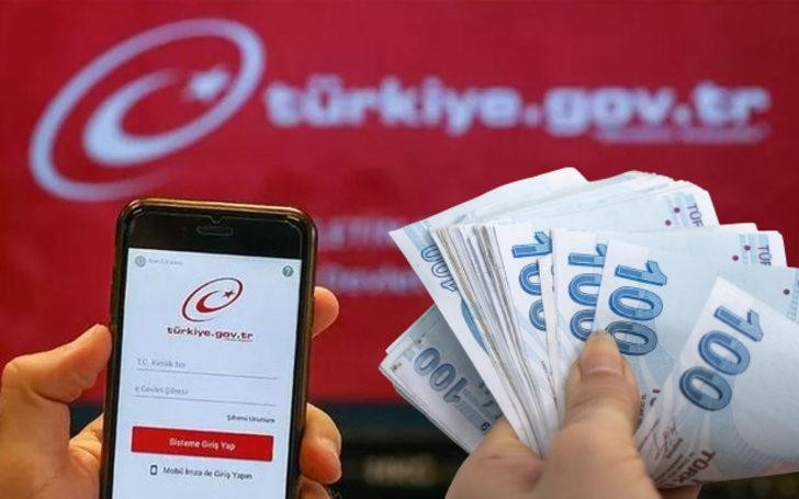 e-Devlet'ten başvuranlara verilecek! O kişilerin faydalanabileceği açıklandı! İşte başvuru detayları