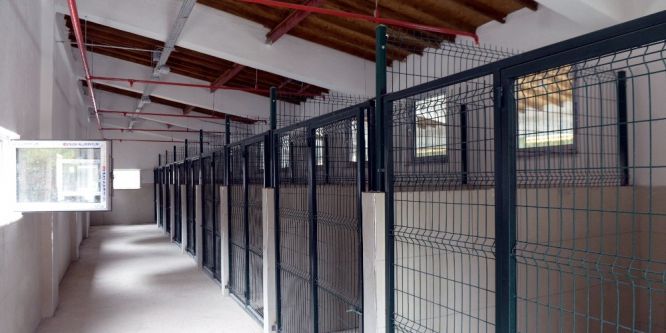 Isparta’ya modern hayvan barınağı