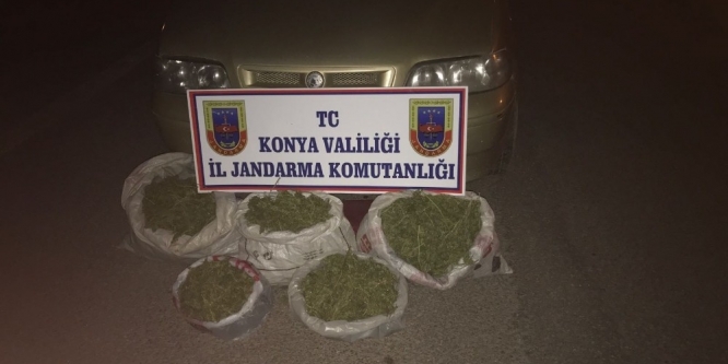 Akşehir’de esrar operasyonu