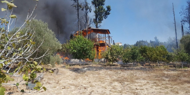 Antalya’da meyve bahçesinde yangın