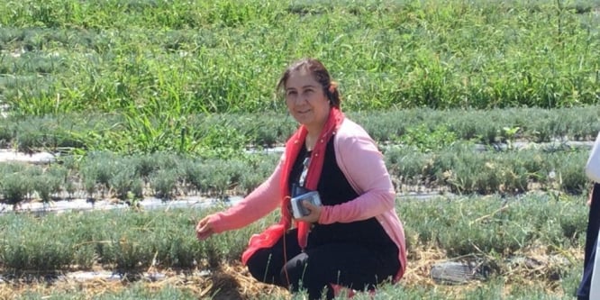 Ceritoğlu, aromatik tıbbi bitkiler için Fransa’ya gitti