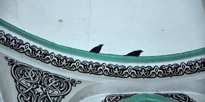 Camiye giren yavru kargaları itfaiye ekipleri çıkardı