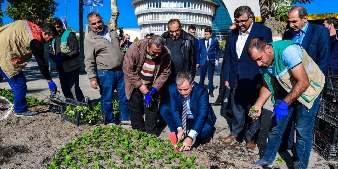 Başkan Çakır, işçilerle birlikte çiçek dikti