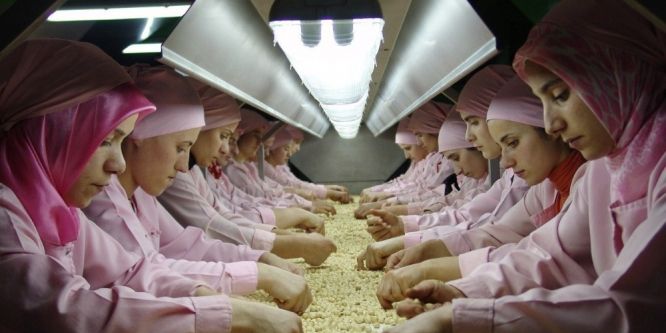 Düzce’den ocak ayında bin 820 ton iç fındık ihraç edildi