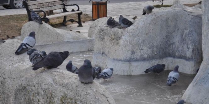 Kırklareli’nde süs havuzları buz tuttu