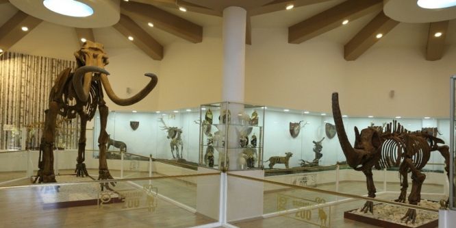 Türkiye’nin ilk zooloji ve doğa müzesi açılıyor