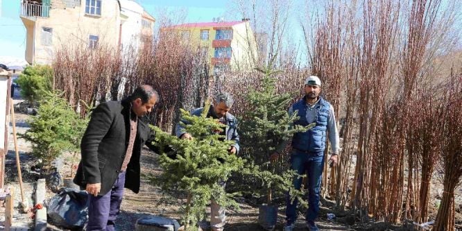 Varto’da meyve fidanı satışı