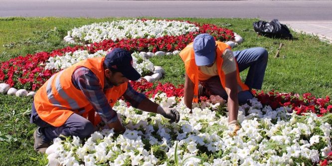 Manavgat’ta 186 bin mevsimlik çiçek