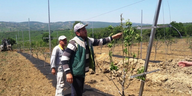Uygulama bahçesi çiftçileri bilinçlendiriyor