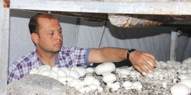 KOSGEB kredisiyle kendi işinin patronu oldu