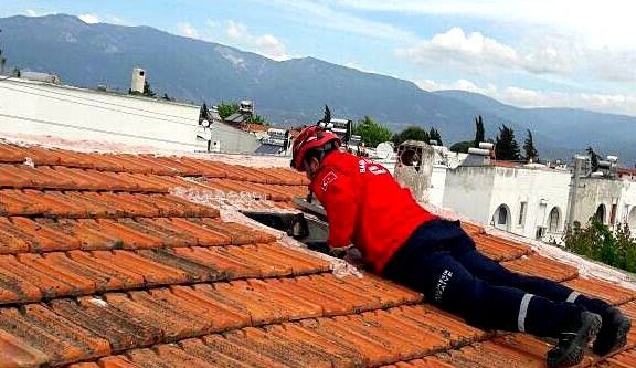 Çatıda kedi kurtarma operasyonu