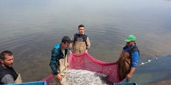 İznik Gölü’nde gümüş balığı sezonu açıldı