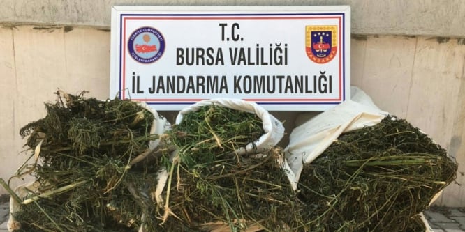 Piyasa değeri 450 bin liralık uyuşturucu ele geçirildi