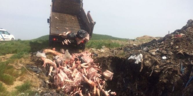 Kaza yapan araçtan çıkan 2 ton kaçak et imha edildi