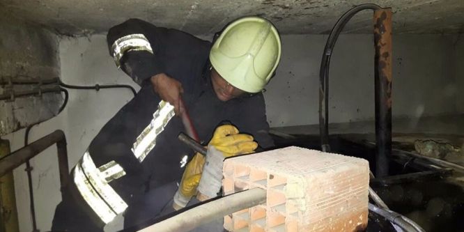 Akaryakıt tankına sıkışan kediyi itfaiye ekipleri kurtardı