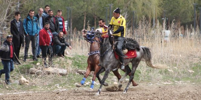 Koreliler Cirit’e hayran kaldı