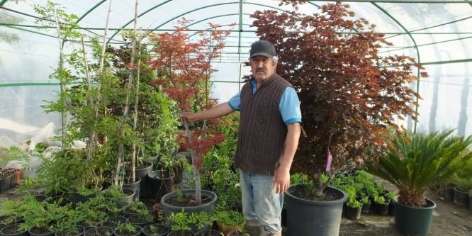 Şeker hastalığını bitki yetiştirerek yendi