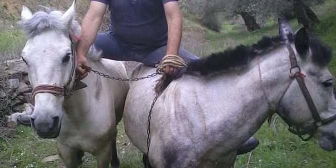 Böyle jokey görülmedi, aynı anda iki ata biniyor