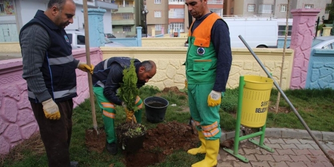 Yeşillendirme çalışmaları aralıksız sürüyor
