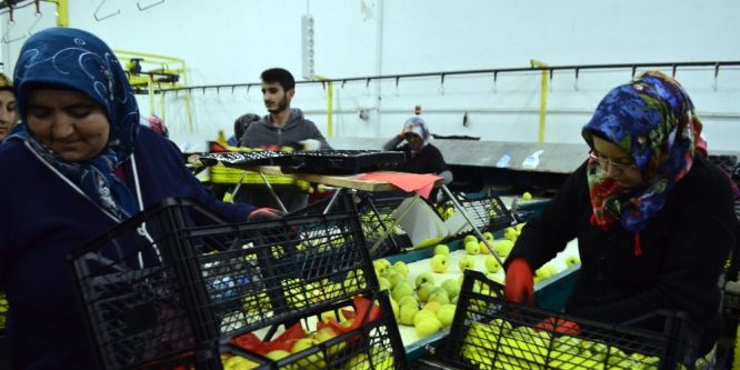 Isparta elması gözünü Ortadoğu’ya dikti