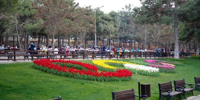 Dülük, lalelerle bir başka güzel