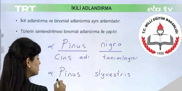 EBA TV canlı ders izle EBA canlı ders nasıl izlenir?