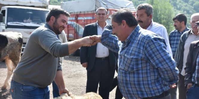 Kızılcahamam’da canlı hayvan pazarı açıldı