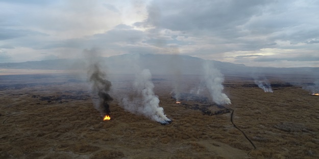 Eber Gölü çevresindeki kamışlık alanda yangın