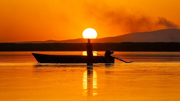 Eber Gölü'nde doğal yaşam objektiflere yansıdı