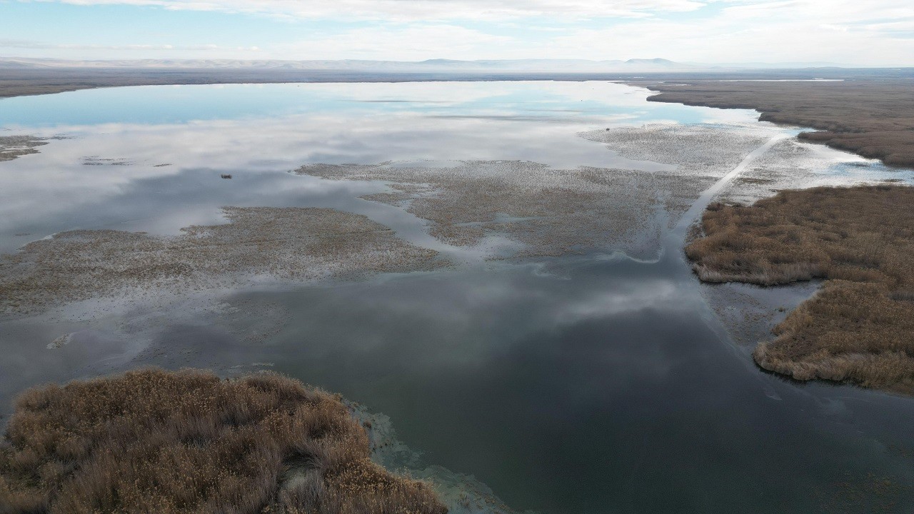 Eber Gölü'nde umut veren yükseliş