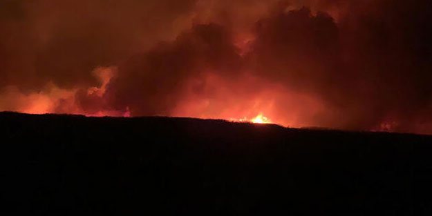 Eber Gölü'ndeki yangında 8 bin dekar alan zarar gördü