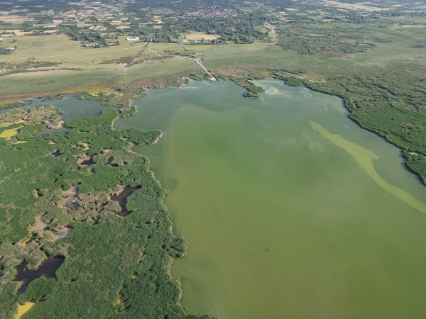 Eber Gölü'nü bekleyen tehlike! Yoksa sonu mu geldi!