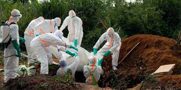 Ebola'yı keşfeden profesörden korkutan tahmin