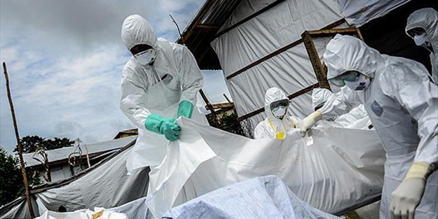 Ebola'yı 'süper dağıtıcılar' yaydı