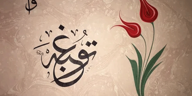 Ebru Meksika'da tanıtıldı