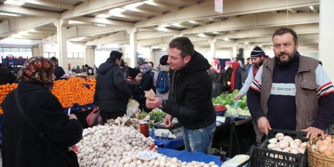 Kararan kültür mantarını tüketmeyin