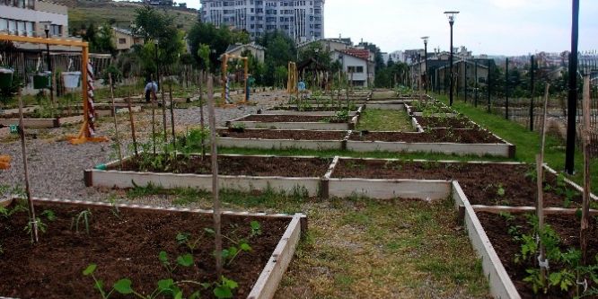 Kent Tarım Hobi Evi’nde yeni eğitimler Şubat’ta başlıyor