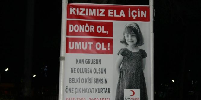 Lösemi hastası Ela için kök hücre seferberliği