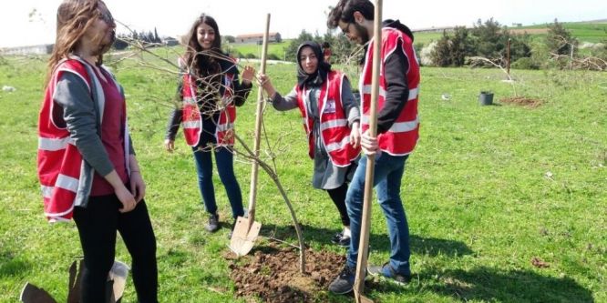 Genç kızılaycılardan 350 fidan