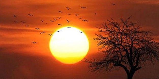 ECMWF açıkladı: Kış daha sıcak geçecek