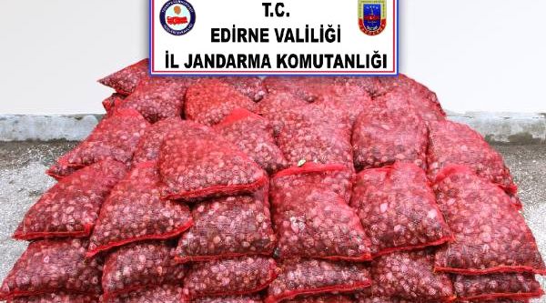 Edirne’de 2 ton canlı midye ele geçirildi