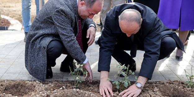 Edirne gülü üretiminin artması için düğmeye basıldı