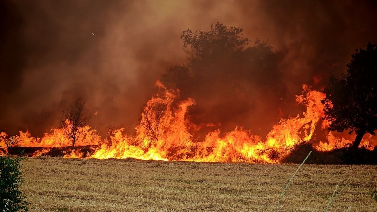 Edirne Keşan’da orman ve anız yangını