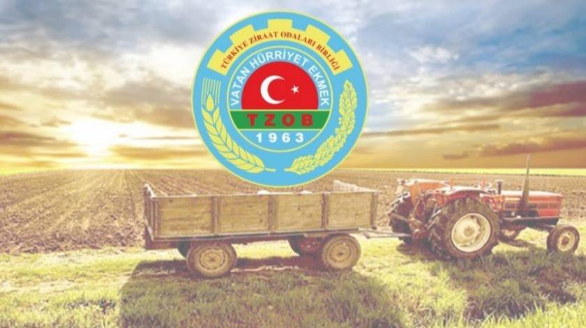 Edirne Tıbbi Aromatik Bitkiler üretim personel alacak