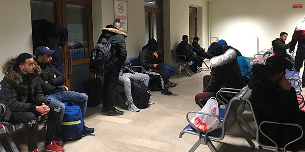 Edirne'de 20 göçmen yakalandı