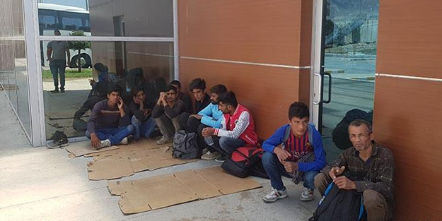 Edirne'de 20 kaçak göçmen yakalandı