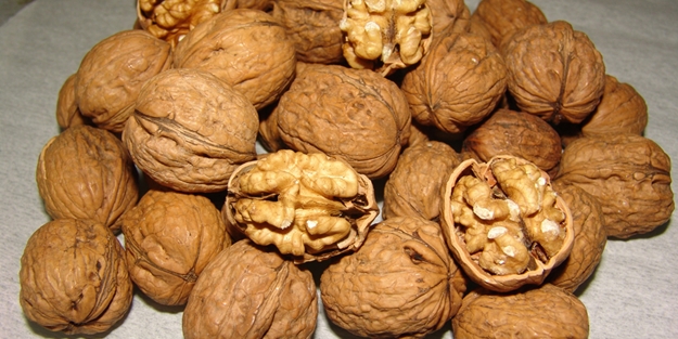 Edirne'de 235 kilogram kaçak ceviz ele geçirildi