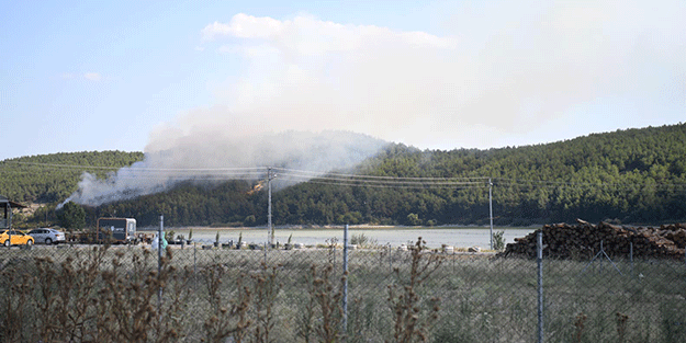 Edirne'de çıkan orman yangını söndürüldü