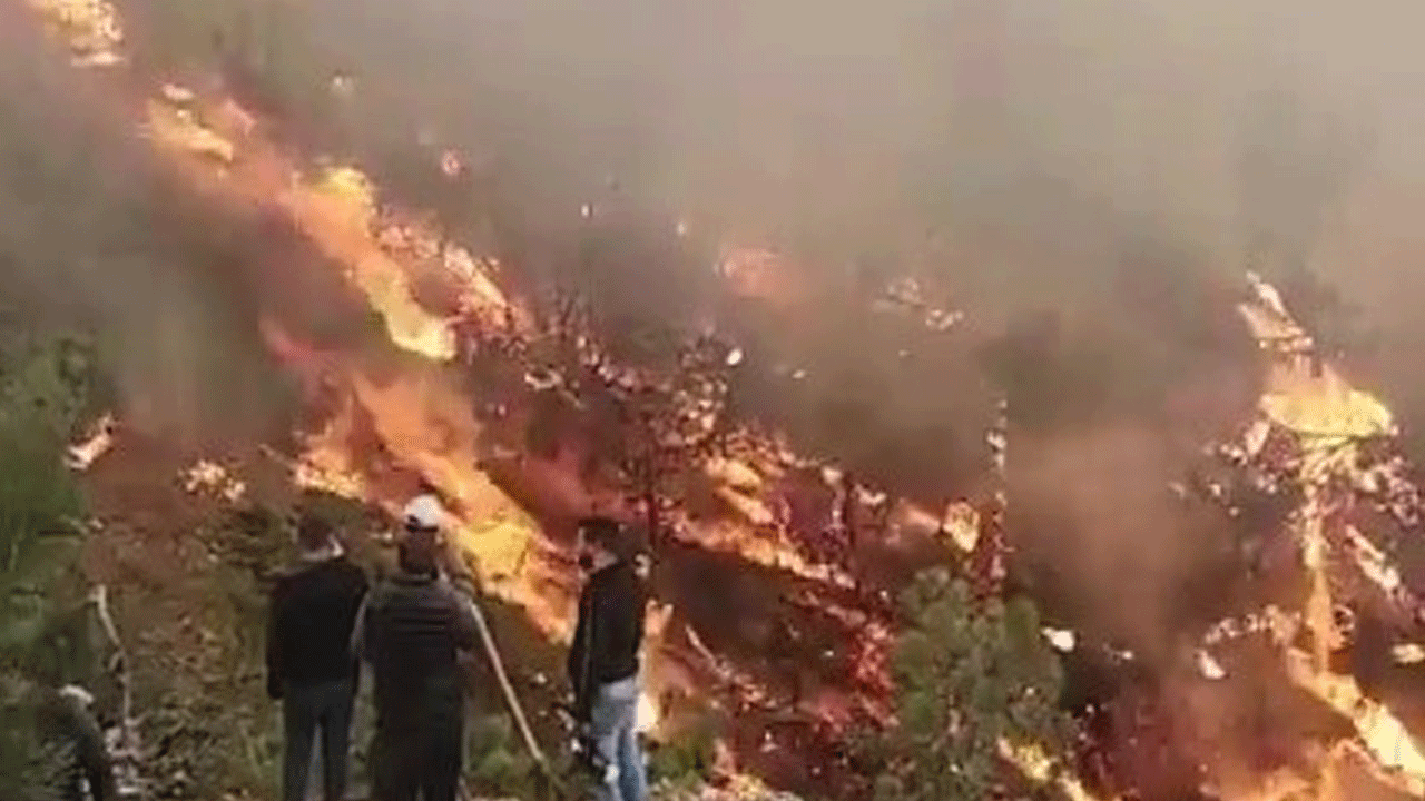 Edirne’de günlerdir devam eden yangından çok kötü haber